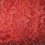 Gorgeous lace floral midi dress from The Pretty Dress Company Image 5