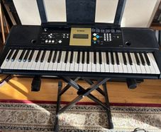 yamaha ypt 220