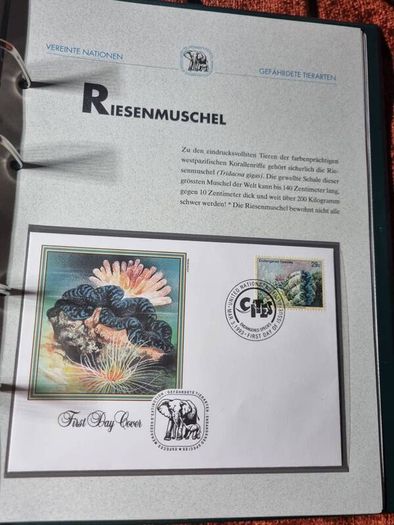 United Nations Vienna and Geneva FDC Collection