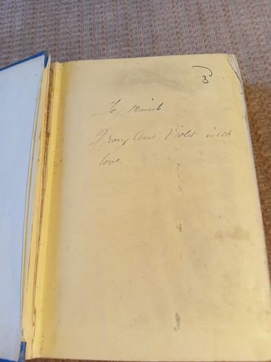 Rare Find 1876 Sybil's Book by Lady Barker. Antique. Literature.
