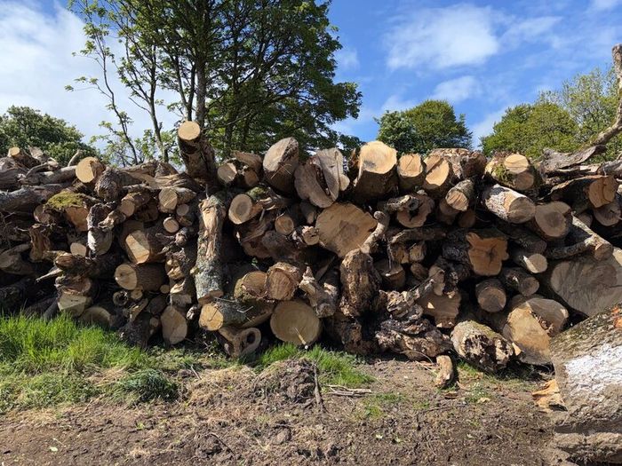 Timber