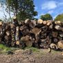 Timber Image 5