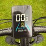 e bike Image 3