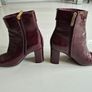 Tommy Hilfiger ancle boots - burgundy Image 4