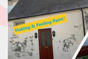 Water - Based Bonding Primer / Emulsion  -  Eb (emulsa-bond)
