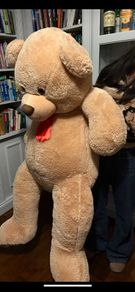 Giant Teddy Bear