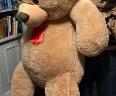 Giant Teddy Bear