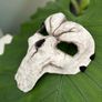 Death Mask Skull Image 7