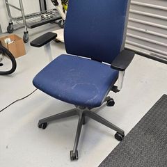 Senator  Office Chair