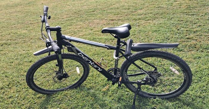 Adult mountain bike