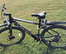 Adult mountain bike