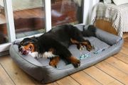Orthopaedic dog bed washable, odour-free &amp; hygienic