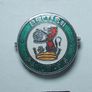 RAILWAY COMPANY (logos & crests) - 9 x quality enamel badges (1960s to early 1980s). Lot B Image 7