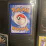 Houndoom illustration rare Image 2
