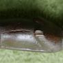 Vintage African Horsehair Fly Whisk - Carved Wood Handle, Tribal Decor Image 6