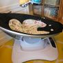 mamaroo Image 2