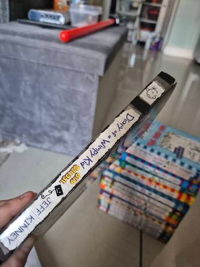 Diary of a Wimpy Kid books