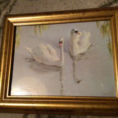 Picture of 2 swans in wooden gold painted frame