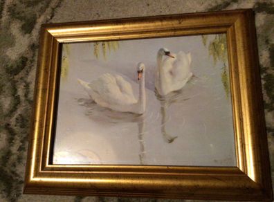 Picture of 2 swans in wooden gold painted frame