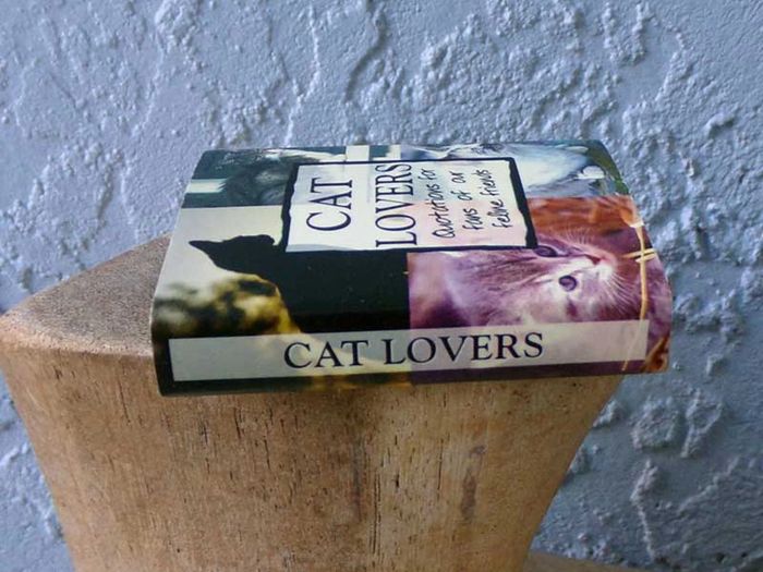Cat Lovers Quotations For Fans of Our Feline Friends, miniature cat book