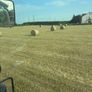 Hay for sale Tipperary Thurles/Templemore area Image 7