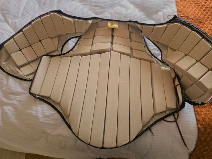 Racesafe Back Protector