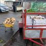 large amount logs &firewood Image 7