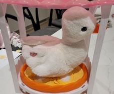 Pets Alive Mama Duck