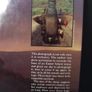 SALE!  EASTER ISLAND - The Mystery Solved by Thor Heyerdahl Image 3