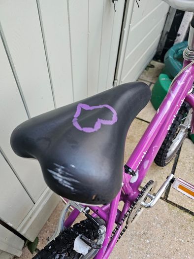 Kids bike raleigh