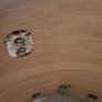 premier drums Image 4