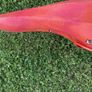 Wave Sport EZ Kayak Retro Whitewater Kayak Playboat Riverrunner Image 5
