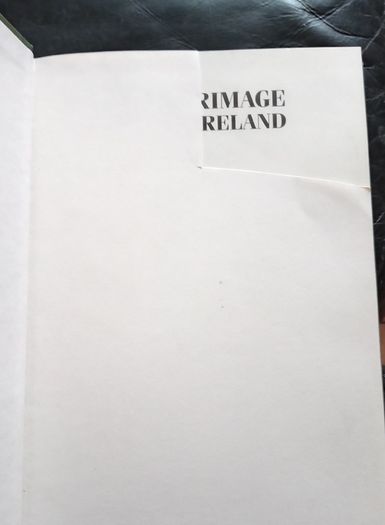 Pilgrimage In Ireland Peter Harbison Book