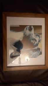 Wooden framed picture border collie
