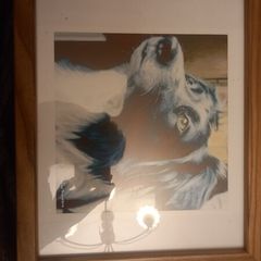 Wooden framed picture border collie