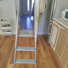 step ladder