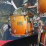 Pearl Masters Custom Image 5
