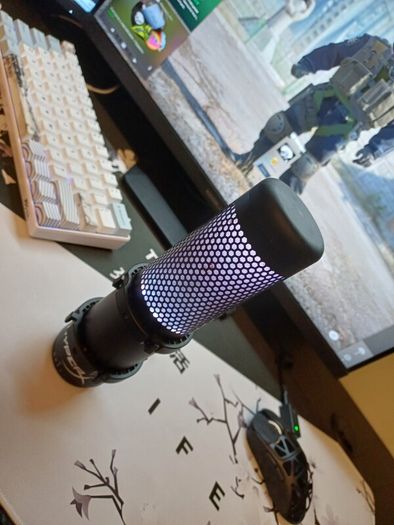 Full gaming setup