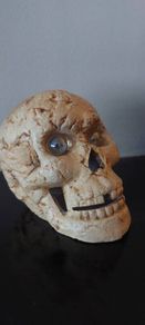 Skull /Gothic home  decor