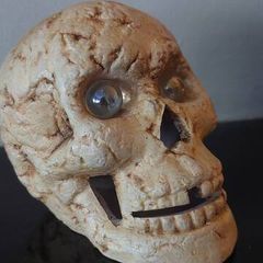 Skull /Gothic home  decor