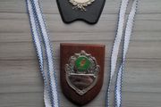 Medals&amp;Plaques