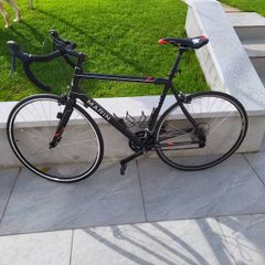Marin Argenta 6 Road Bike