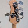 Sterling Stingray Ray5 bass + Orange amp Image 2