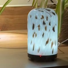 Aldi glass diffuser and essential oil brand new
