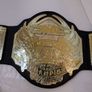 wwe Jakks specific TNA World heavyweight championship kids belt Image 8