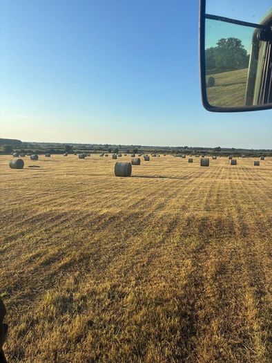 Hay for sale