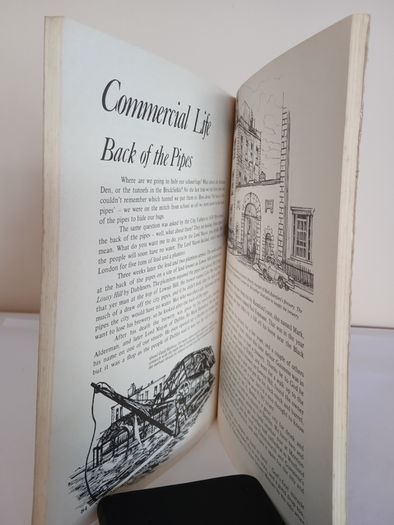 Me Jewel and Darlin' Dublin by Eamonn MacThomais. Illustrated by Michael O'Brien (HQ876)