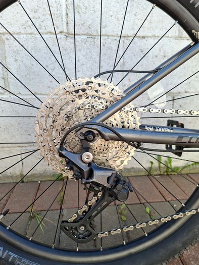 Carrera Sulcata 3.1