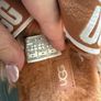 Ugg Slippers Image 4
