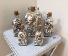 Sea shells in bottles
